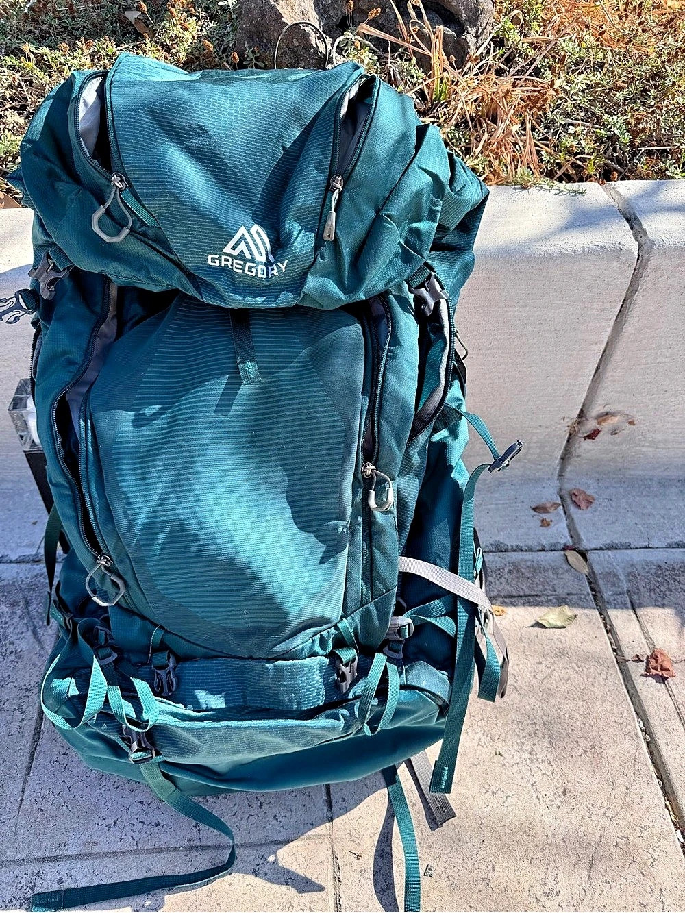 Gregory Deva 60 Women's Backpack Blue